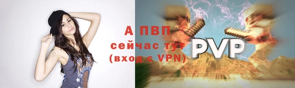 амф Новодвинск