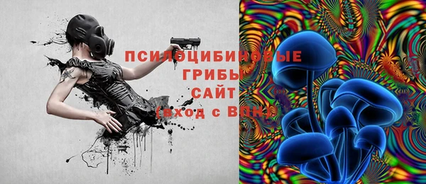 трава Няндома
