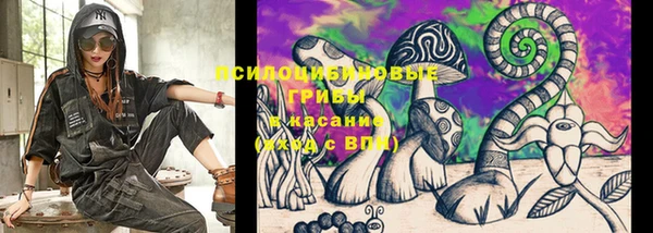соль ск Болохово