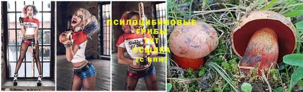 амф Новодвинск